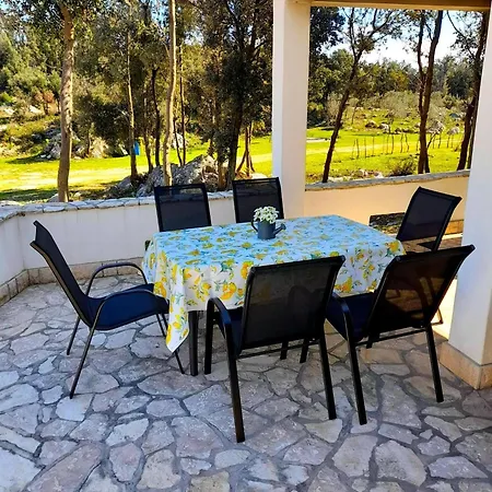 Forest Relax Ferienhaus